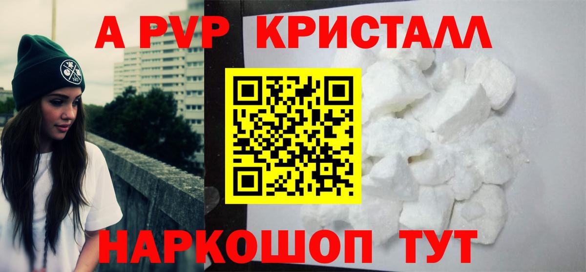 A PVP СК КРИС Шахты