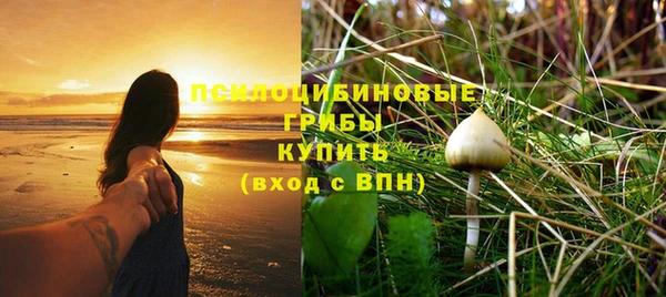 спайс Киренск
