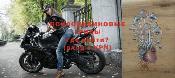 спайс Киренск