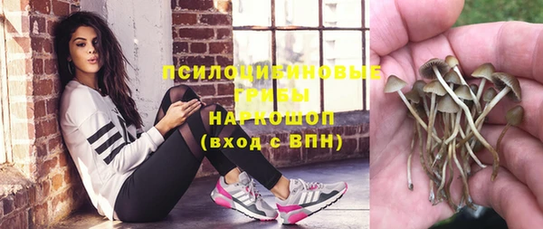 спиды Кинешма