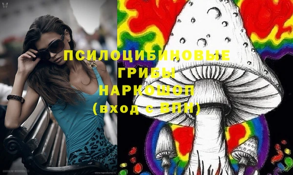 спайс Киренск
