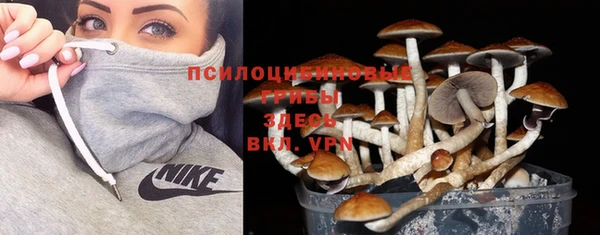 тгк Тында