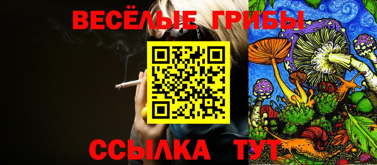 Галлюциногенные грибы Cubensis Шахты