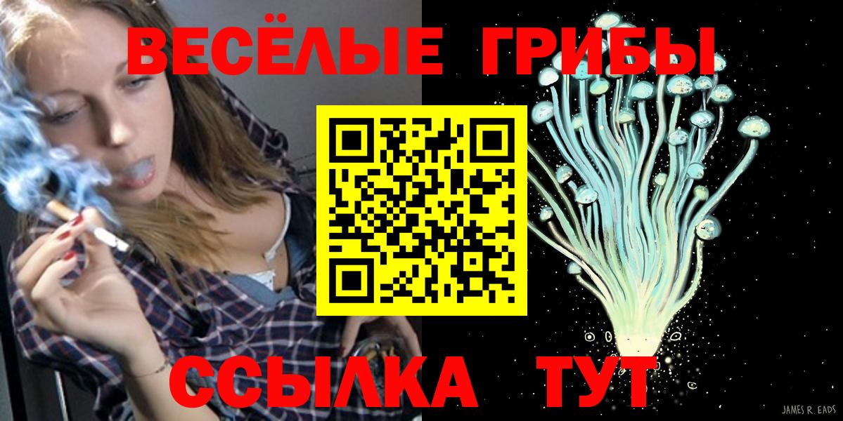 Псилоцибиновые грибы Cubensis  Вход с VPN  Шахты 